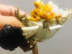 阳澄湖大闸蟹-乡乐园蟹庄·阳澄湖农家乐