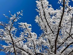 -崂山巨峰游览区