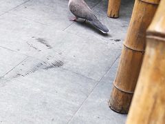 -香园自助小火锅