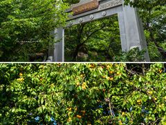 -石岛赤山风景区