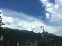 -武陵山森林公园