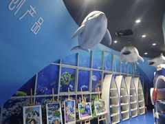-广东惠东海龟国家级自然保护区