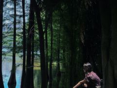 -三水森林公园