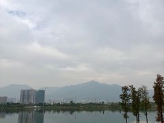 -飞来湖湿地公园