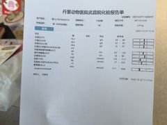 -丹景宠物医院·全科·老年病·牙科(武昌诊疗中心)