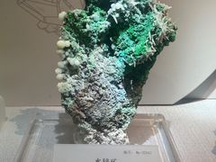 -湖南省地质博物馆