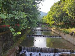 -广州白江湖森林公园