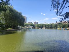 -团结湖公园
