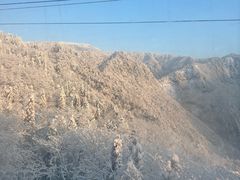 -西岭雪山大飞水景区