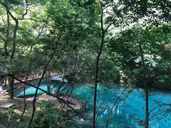 -之江大学-旧址