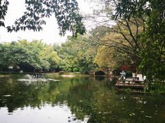 -望江楼公园