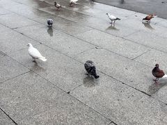 -南华寺素食馆(南华禅寺店)