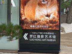 -罗红摄影艺术馆