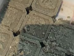 -曹祥泰(解放路店)
