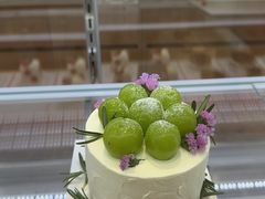 -喜莲娜动物奶油生日蛋糕(白云店)