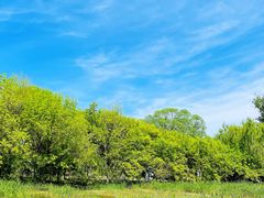 -北京奥林匹克公园