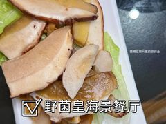 -野菌皇海景野生菌火锅(滨海大道店)