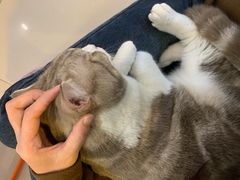 -平行世界·猫咖(首经贸店)