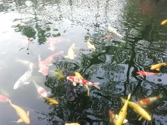 -湖鲜楼