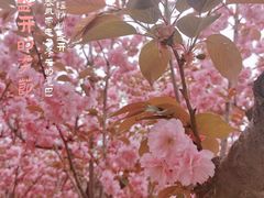 -大连植物园