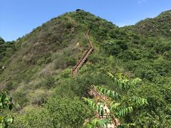 -大岭沟猕猴桃谷风景区