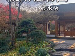 -杭州植物园