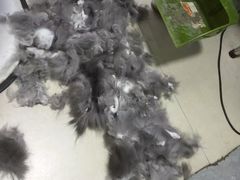 -1013 PET SHOP 宠物商店(近铁城市广场店)