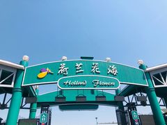 -荷兰花海