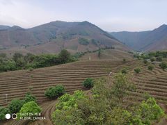 -帐篷客·溪龙茶谷度假酒店