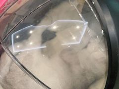 -纳吉亚猫专科动物医院·北北分院