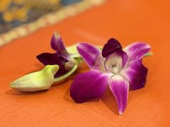 -荷花泰菜(东方新天地店)