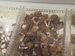 -山海经·海边人家 海鲜新青岛菜(扬州路店)