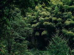 -黄山翡翠谷景区