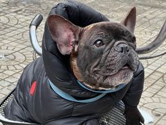 -UME影城(安贞DTS:X店)