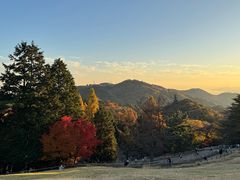 -神户市立六甲山牧场