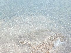 -台场海滨公园船码头