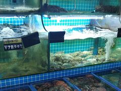 -老东镇啤酒屋海鲜加工·蒸汽海鲜·海鲜烧烤(台东店)