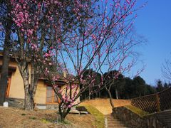 -冶父山国家森林公园