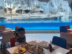 -帝企鹅自助餐厅•儿童岛•真企鹅(长隆企鹅酒店)