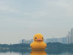 -深圳人才公园
