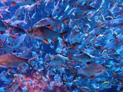 -成都浩海立方海洋公园