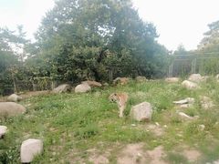 -西安秦岭野生动物园