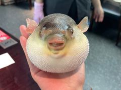 -永安鱼庄·镇江菜(东吴路店)