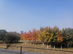 -长春世界雕塑园冰雪艺术天地