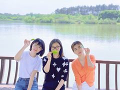 -杏花村文化旅游区