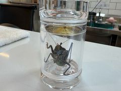 -吴裕泰茶庄(鼓楼店)