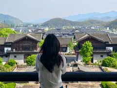 -大唐贡茶院