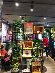 点击看大图 -藤野造型