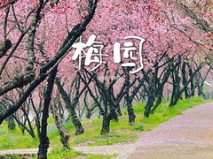 -无锡梅园公园