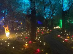 -渔岛海洋度假区